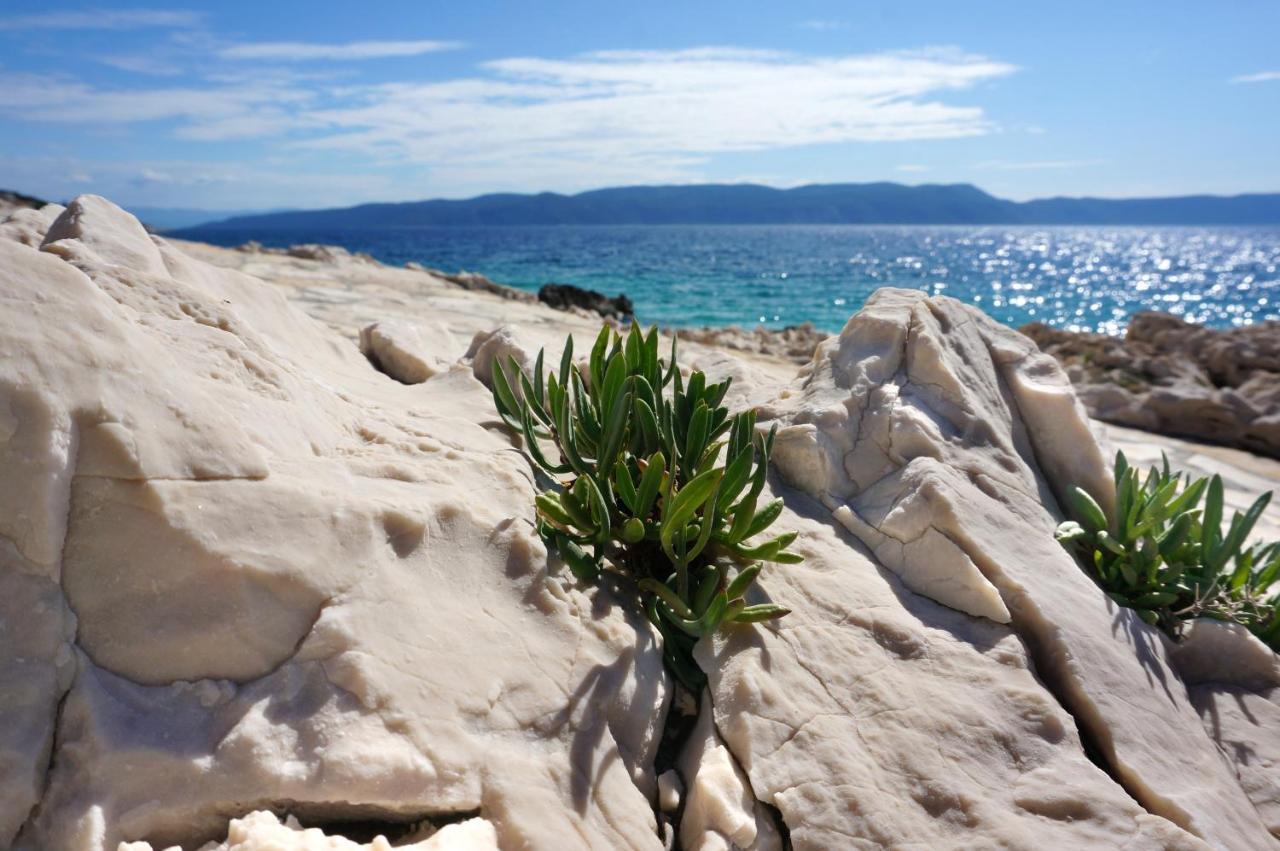 Apartment Suzie Q - Intermezzo With Sea View Rabac Bagian luar foto